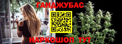 дмт Малгобек