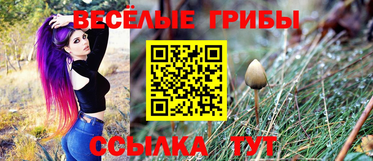 Соль-Илецк  Псилоцибиновые грибы мицелий  Вход с VPN 